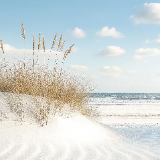 Papier peint plage dunes et mer calme