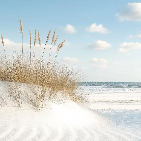 Papier peint plage dunes et mer calme