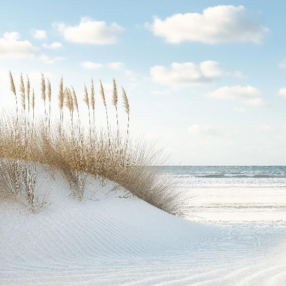Papier peint plage dunes et mer calme