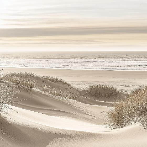 Papier peint paysage plage et dunes