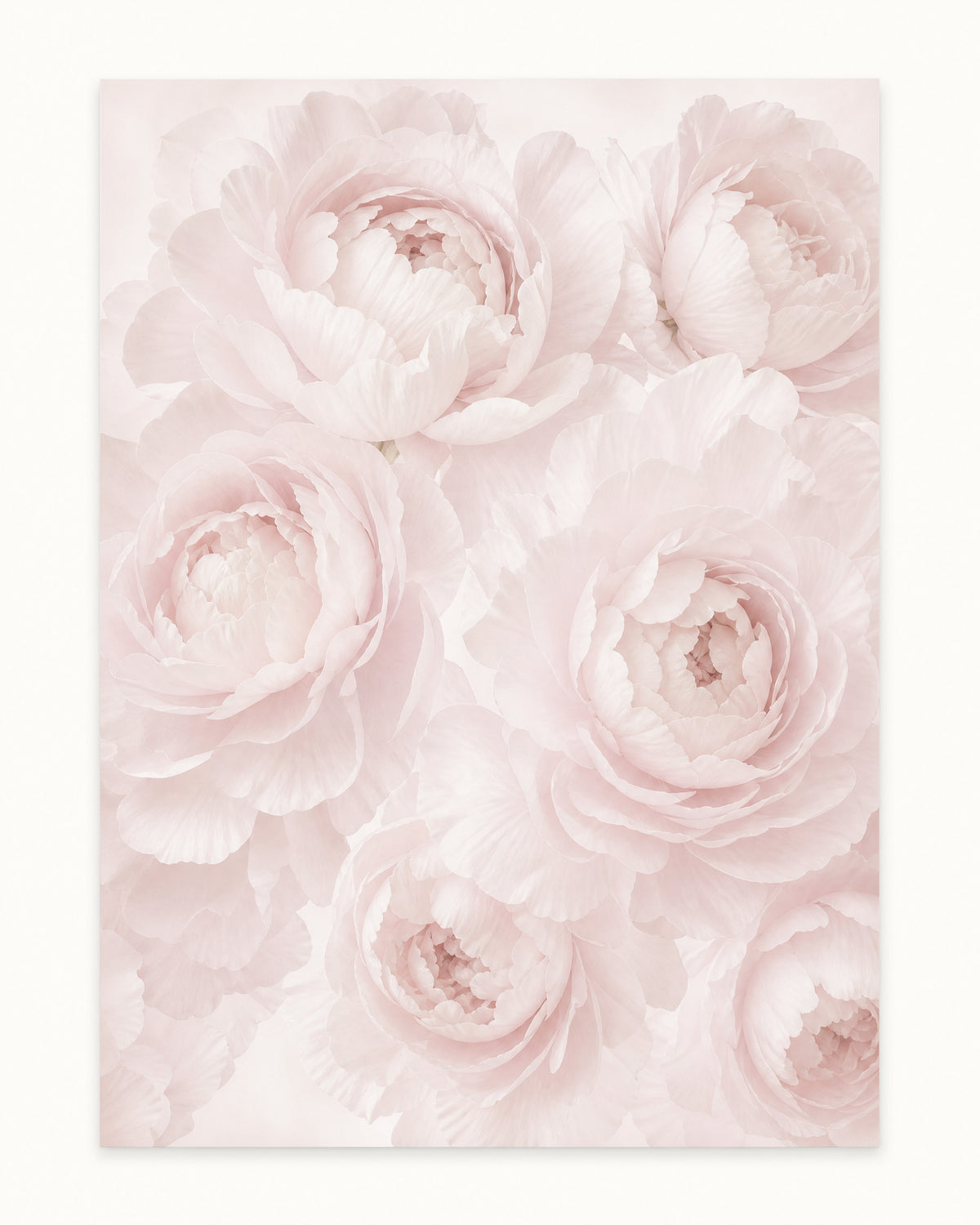 Papier peint grosses fleurs vintage