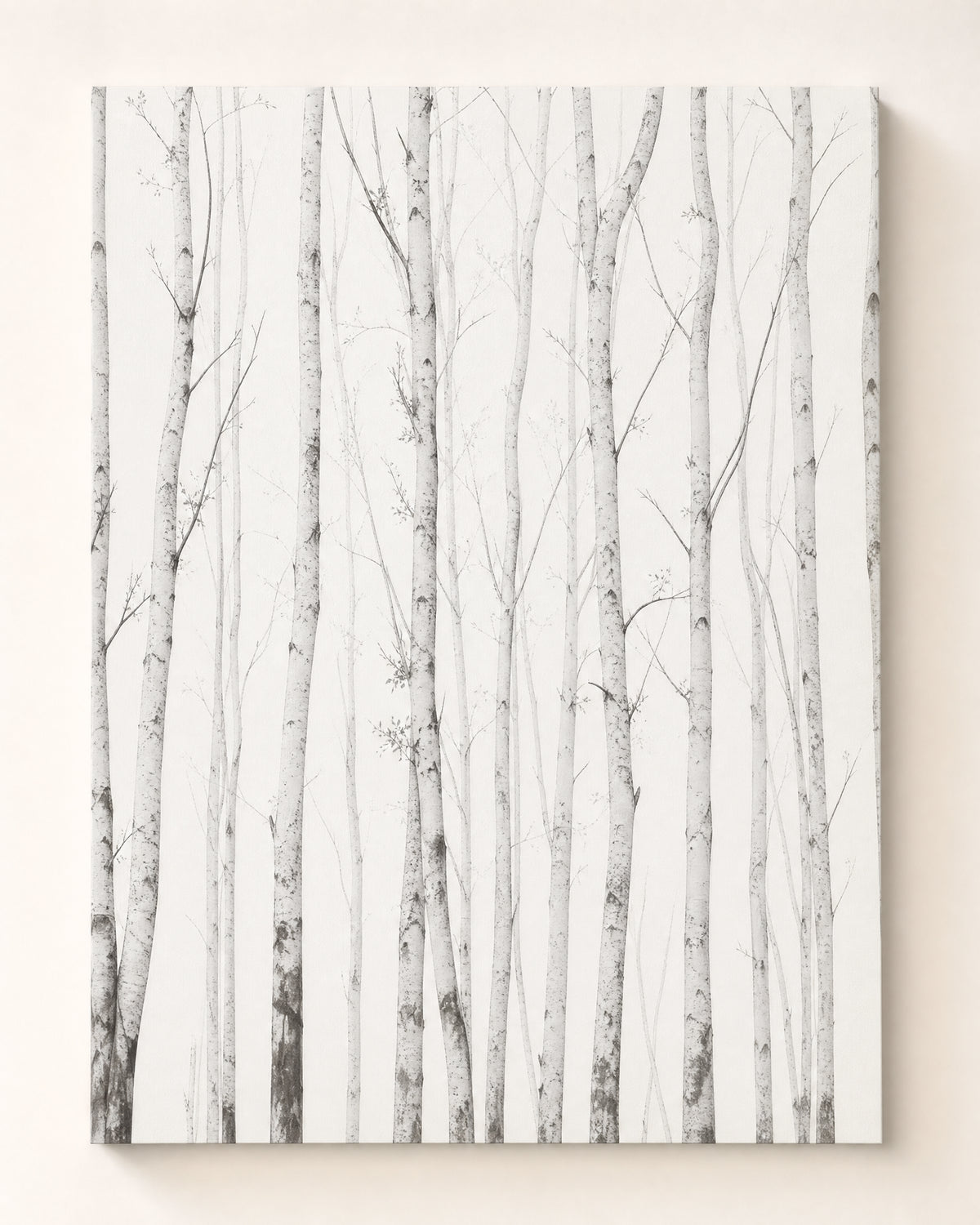 Papier peint bouleau forêt noir et blanc